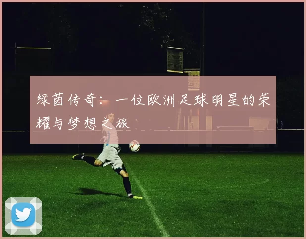 绿茵传奇：一位欧洲足球明星的荣耀与梦想之旅