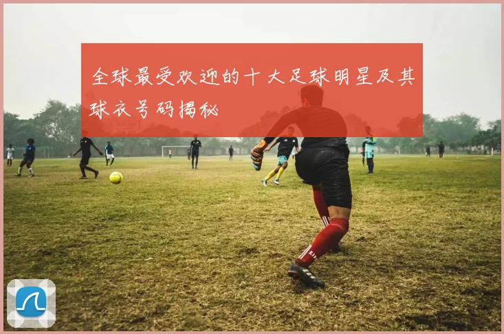 全球最受欢迎的十大足球明星及其球衣号码揭秘